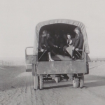 arrival-of-evacuees-2