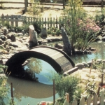 koi-pond