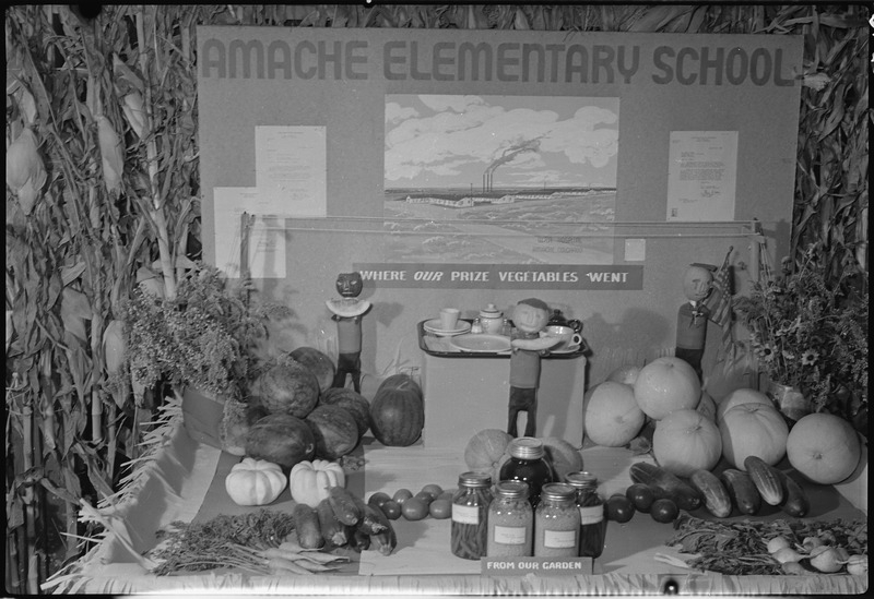 Amache Elementary School victory garden display