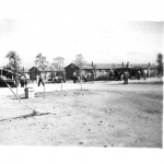 Newly planted trees at Amache (Granada) concentration camp, circa 1942