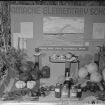 Amache Elementary School victory garden display