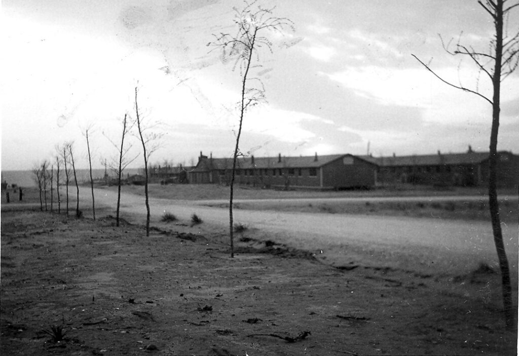 Photo courtesy Homma Family Collection.  Internees transplanted trees from the Arkansas River Valley to Amache.  Several of these trees are still present today.