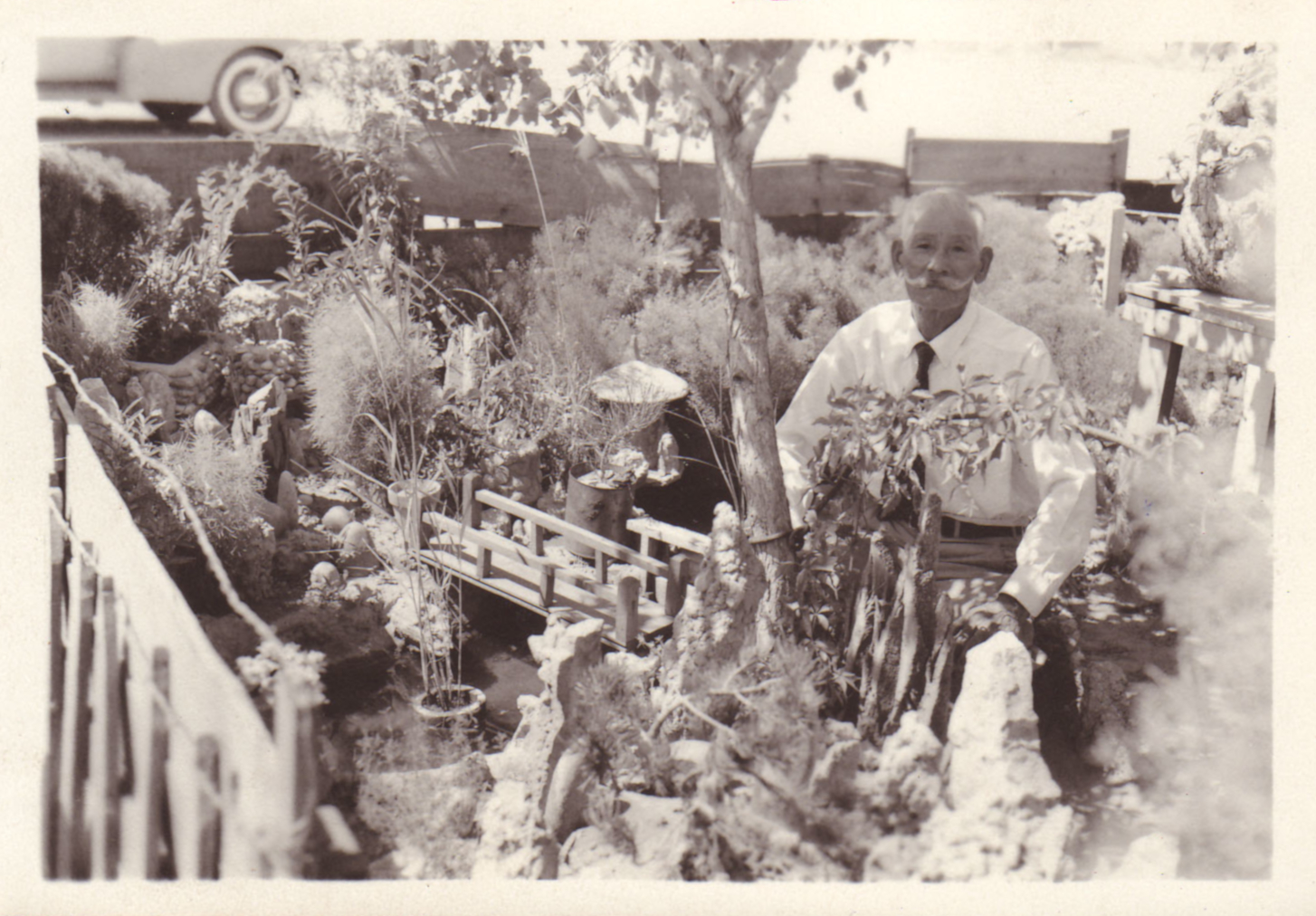 DU Amache Project, Mataji Umeda in his garden in 7G. Photograph courtesy of Helen Yagi Sekikawa collection.